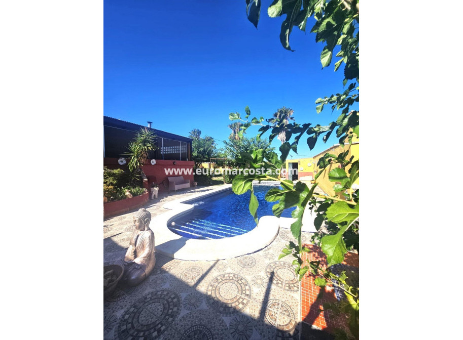 Venta - Villa - Dolores - Comunidad valenciana