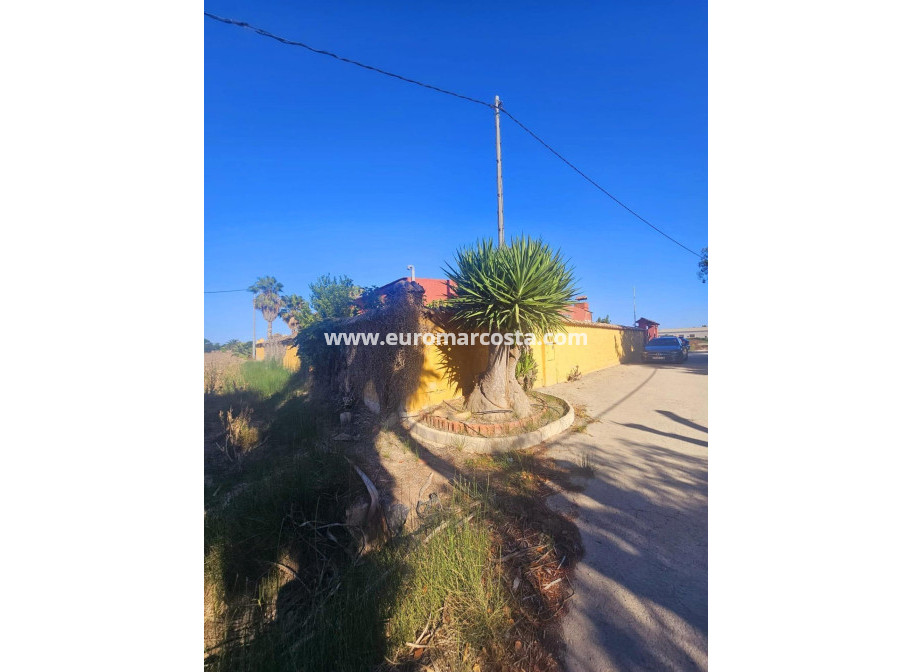 Venta - Villa - Dolores - Comunidad valenciana