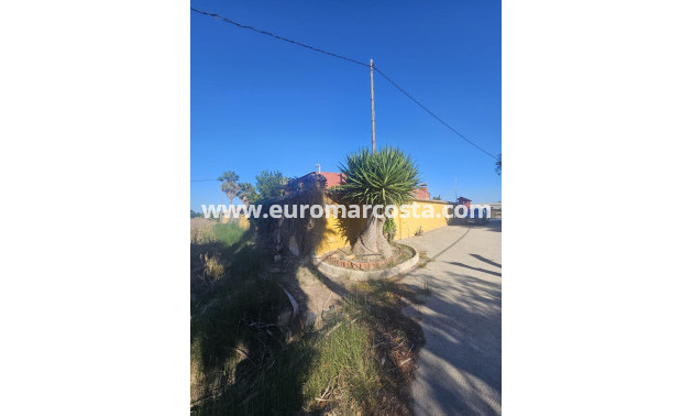 Venta - Villa - Dolores - Comunidad valenciana