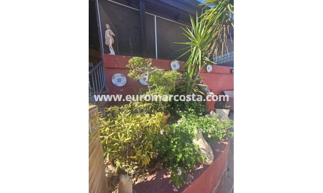 Venta - Villa - Dolores - Comunidad valenciana