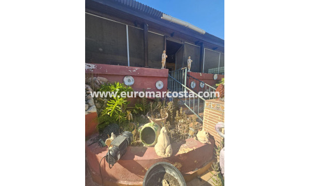 Venta - Villa - Dolores - Comunidad valenciana