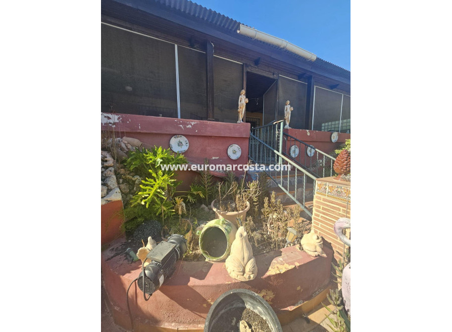 Venta - Villa - Dolores - Comunidad valenciana