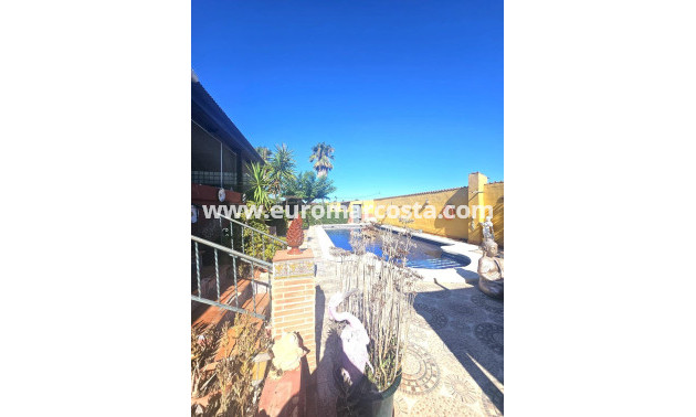 Venta - Villa - Dolores - Comunidad valenciana
