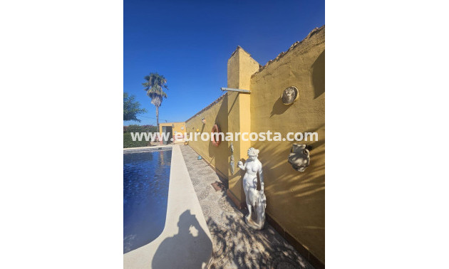 Venta - Villa - Dolores - Comunidad valenciana