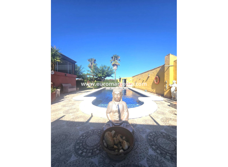 Venta - Villa - Dolores - Comunidad valenciana