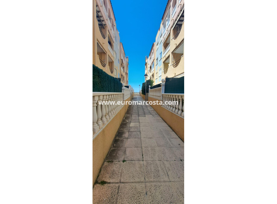 Objekte zum Wiederverkauf - Penthouse - Torrevieja - La Mata