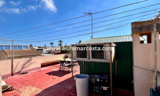 Sale - House - Torrevieja - Zona los Frutales