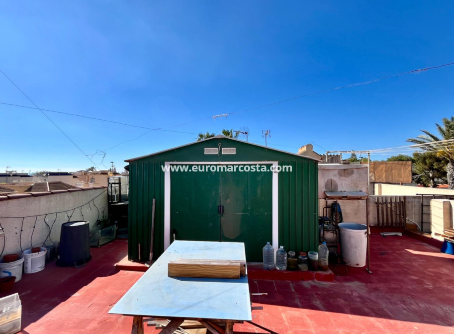 Sale - House - Torrevieja - Zona los Frutales