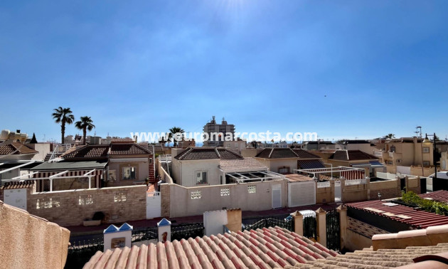 Sale - House - Torrevieja - Zona los Frutales
