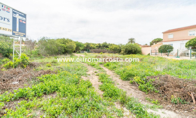 Venta - Parcela / Terreno - Torrevieja - TORREVIEJA