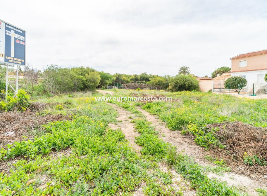 Venta - Parcela / Terreno - Torrevieja - TORREVIEJA