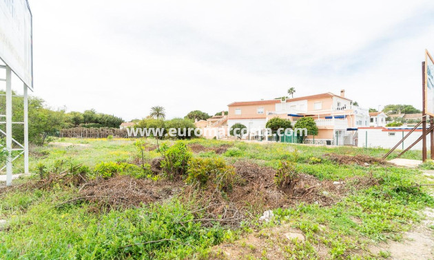 Venta - Parcela / Terreno - Torrevieja - TORREVIEJA