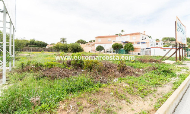 Venta - Parcela / Terreno - Torrevieja - TORREVIEJA
