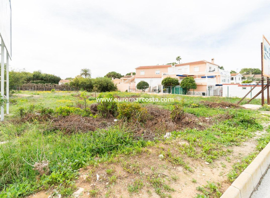 Venta - Parcela / Terreno - Torrevieja - TORREVIEJA