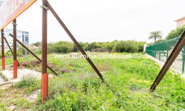 Venta - Parcela / Terreno - Torrevieja - TORREVIEJA