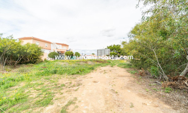 Venta - Parcela / Terreno - Torrevieja - TORREVIEJA