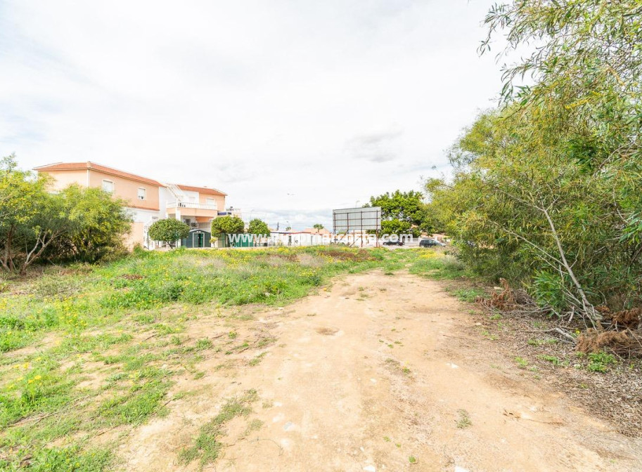 Venta - Parcela / Terreno - Torrevieja - TORREVIEJA