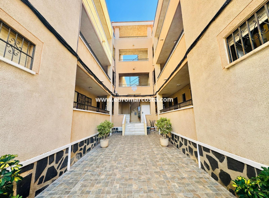 Objekte zum Wiederverkauf - Wohnstudio - Torrevieja - San Luis - Chaparal