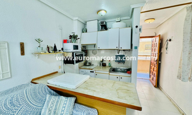 Objekte zum Wiederverkauf - Wohnstudio - Torrevieja - San Luis - Chaparal