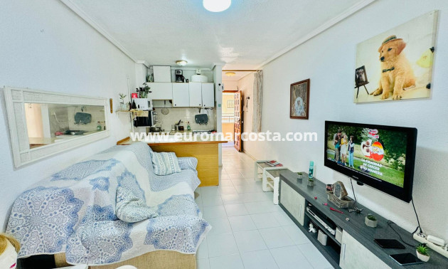 Objekte zum Wiederverkauf - Wohnstudio - Torrevieja - San Luis - Chaparal