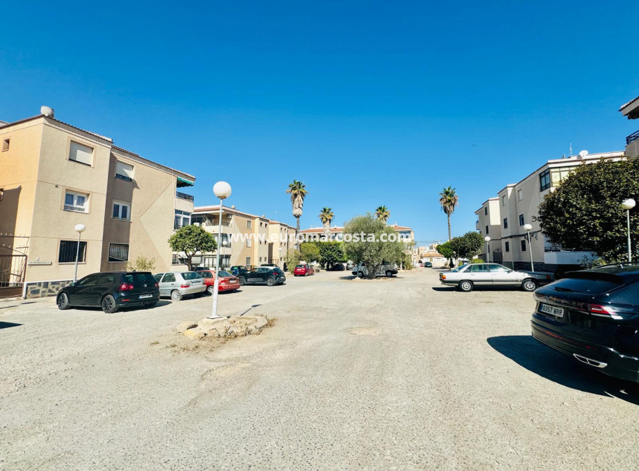 Objekte zum Wiederverkauf - Wohnstudio - Torrevieja - San Luis - Chaparal
