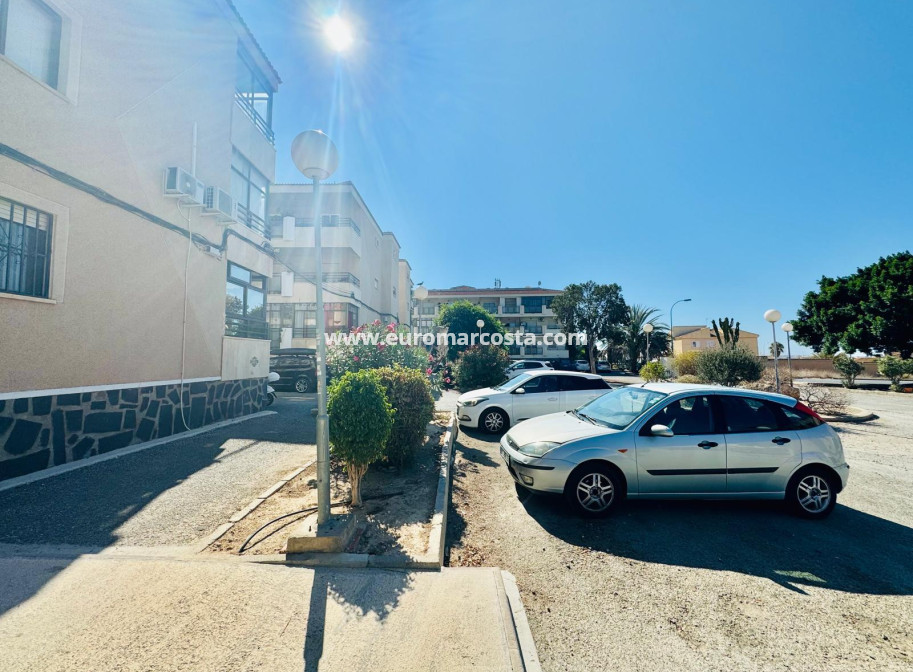 Objekte zum Wiederverkauf - Wohnstudio - Torrevieja - San Luis - Chaparal