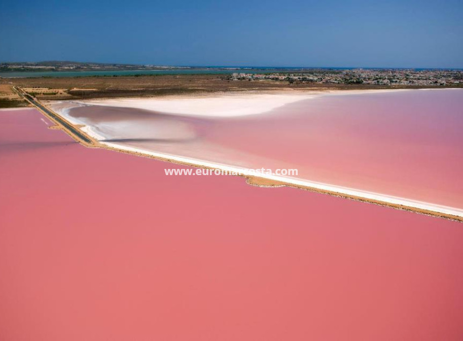 Objekte zum Wiederverkauf - Wohnstudio - Torrevieja - San Luis - Chaparal