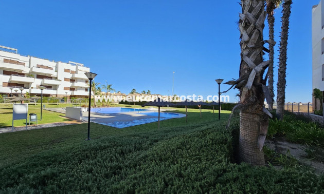Venta - Apartamento / piso - Torrevieja - TORREVIEJA