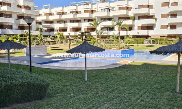 Venta - Apartamento / piso - Torrevieja - TORREVIEJA