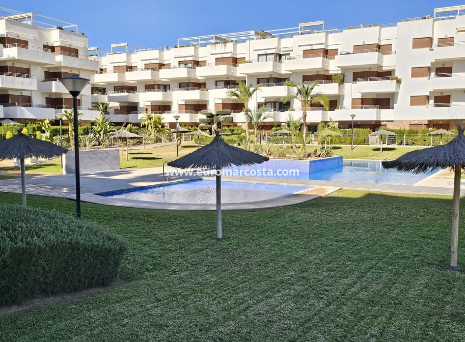 Venta - Apartamento / piso - Torrevieja - TORREVIEJA