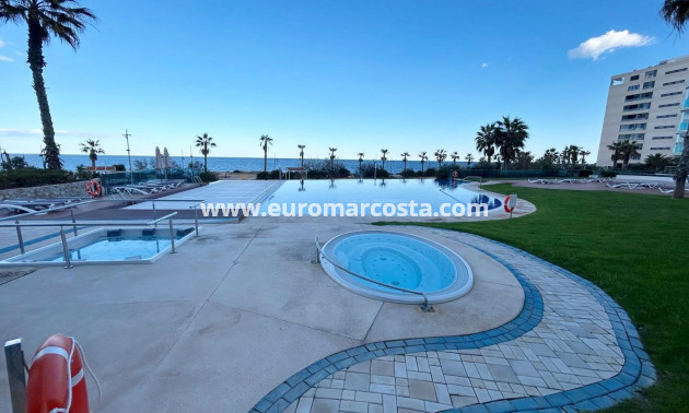 Venta - Apartamento / piso - Torrevieja - Orihuela Costa