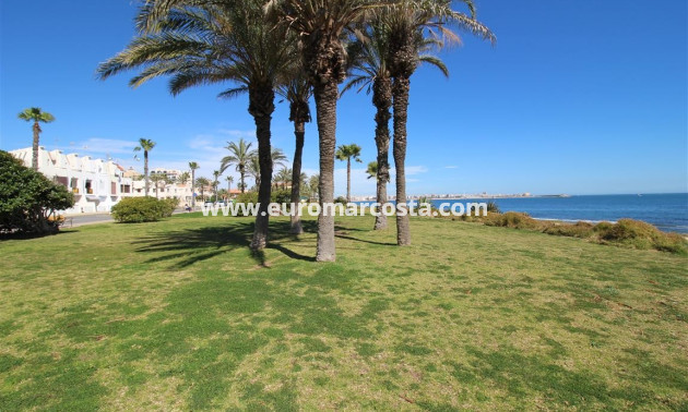 Venta - Apartamento / piso - Torrevieja - Orihuela Costa