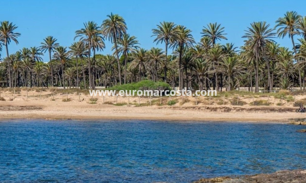 Venta - Apartamento / piso - Torrevieja - Orihuela Costa