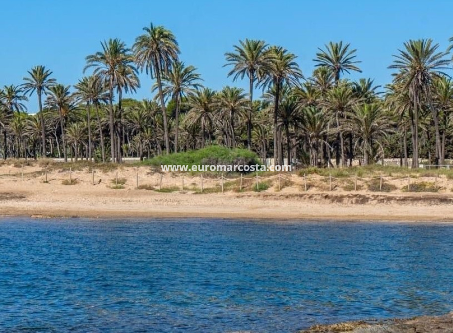 Venta - Apartamento / piso - Torrevieja - Orihuela Costa