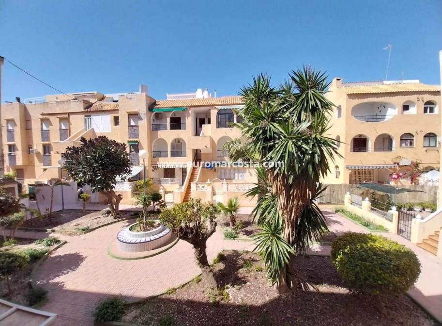 Venta - Apartamento / piso - Torrevieja - TORREVIEJA
