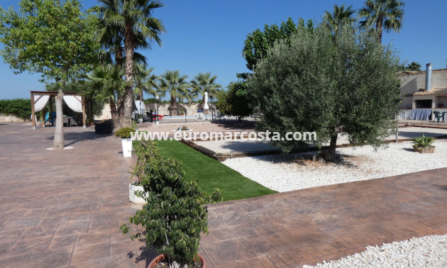 Sale - Country house - Rafal
