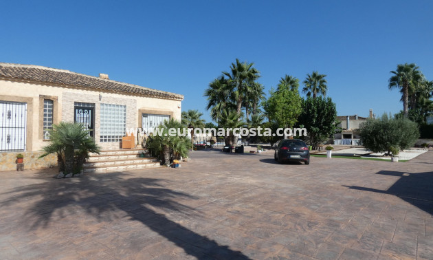 Sale - Country house - Rafal