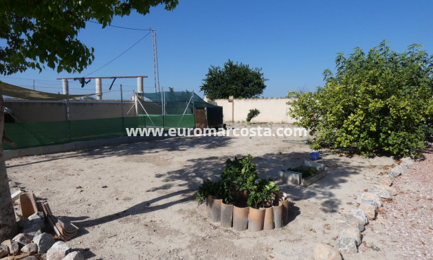 Sale - Country house - Rafal