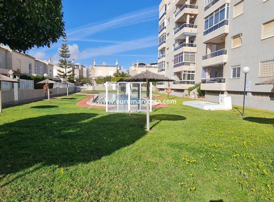 Venta - House - Torrevieja - Aguas Nuevas