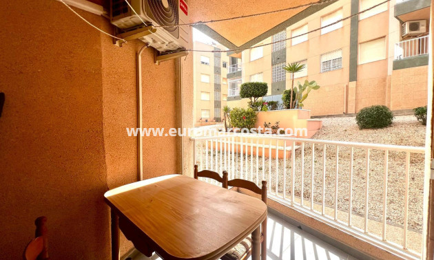 Venta - Planta baja - Torrevieja - TORREVIEJA