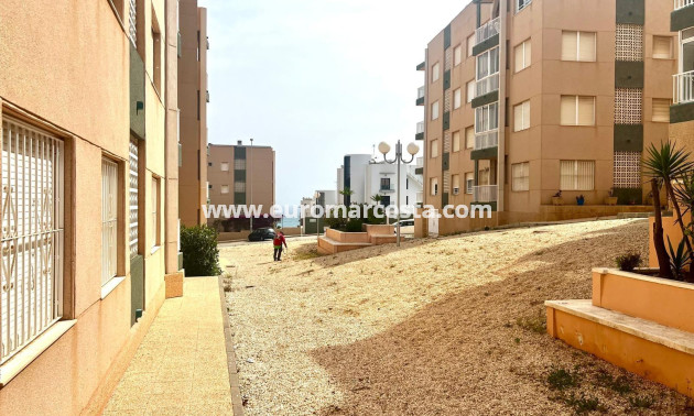 Venta - Planta baja - Torrevieja - TORREVIEJA