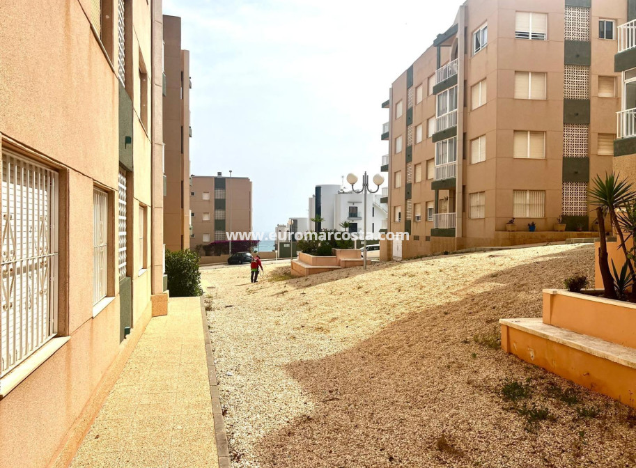 Venta - Planta baja - Torrevieja - TORREVIEJA