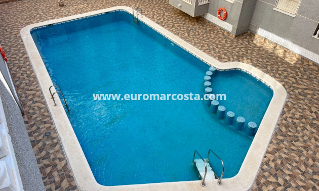 Sale - Study - Guardamar del Segura