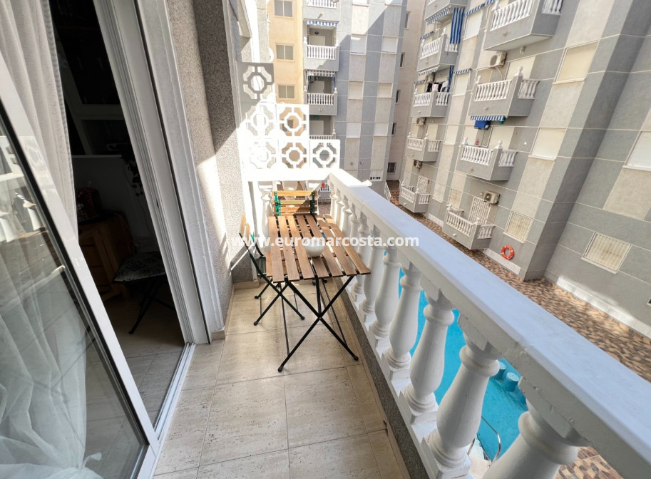 Sale - Study - Guardamar del Segura
