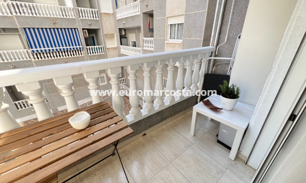 Sale - Study - Guardamar del Segura