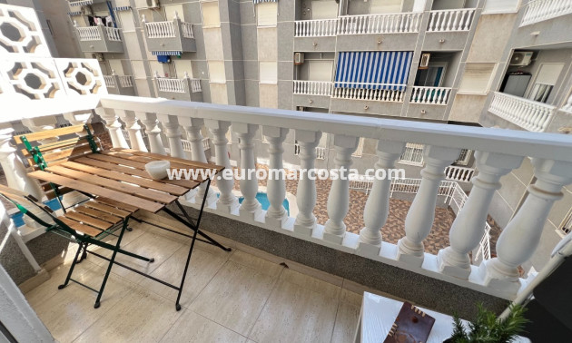 Sale - Study - Guardamar del Segura