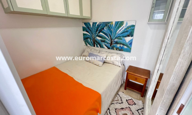 Sale - Study - Guardamar del Segura