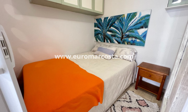Sale - Study - Guardamar del Segura
