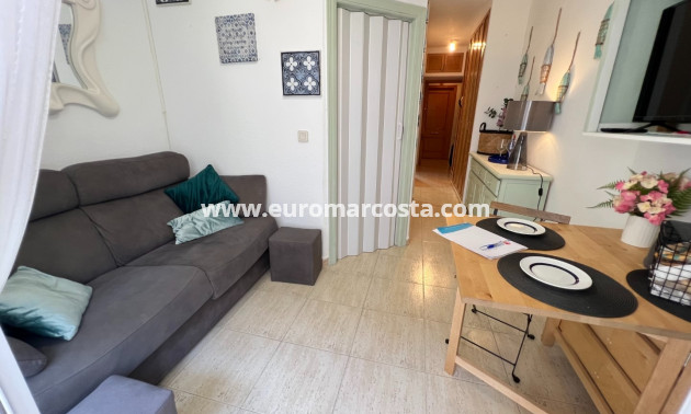 Sale - Study - Guardamar del Segura