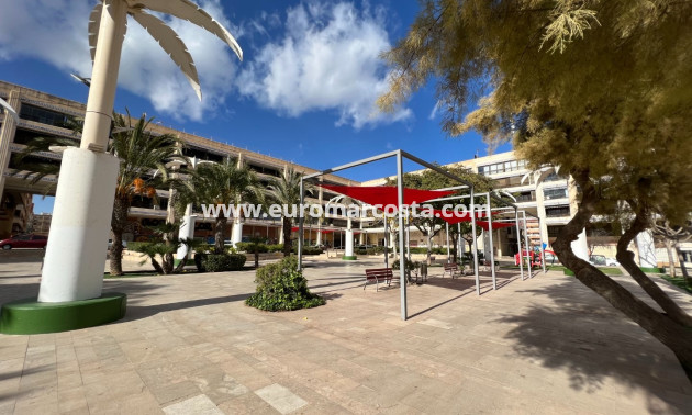 Sale - Study - Guardamar del Segura